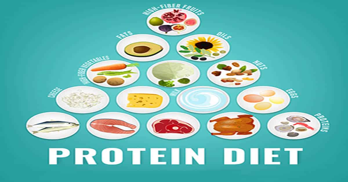 High Protein Diet